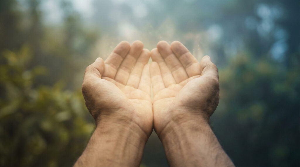 Deux mains ouvertes tendues vers le haut reçoivent une douce lumière dorée et scintillante sur fond flou de nature verte.